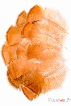 Bronzen kalkoen - gebleekt - 5-15 cm - crème-karamel